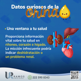 Urólogo - Dr. Francisco Ramos Salgado - Puebla