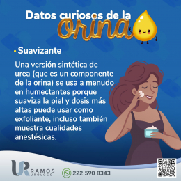 Urólogo - Dr. Francisco Ramos Salgado - Puebla