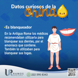 Urólogo - Dr. Francisco Ramos Salgado - Puebla