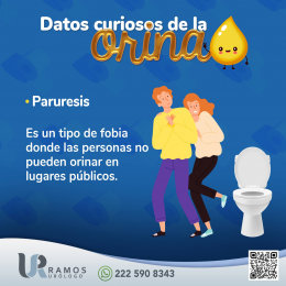 Urólogo - Dr. Francisco Ramos Salgado - Puebla
