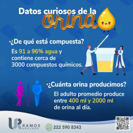 Urólogo - Dr. Francisco Ramos Salgado - Puebla
