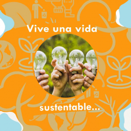 Ecorgánico - Soluciones Ecológicas Puebla - Puebla