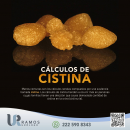 Urólogo - Dr. Francisco Ramos Salgado - Puebla