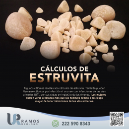 Urólogo - Dr. Francisco Ramos Salgado - Puebla