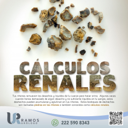 Urólogo - Dr. Francisco Ramos Salgado - Puebla