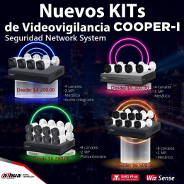 Seguridad Network System - Puebla