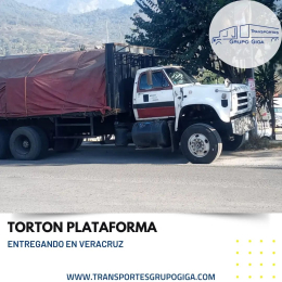 Transportes Grupo Giga - Puebla