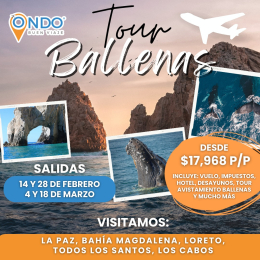 Ondo Viajes - Puebla