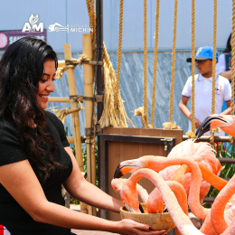 Acuario Michin Puebla - Puebla