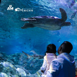 Acuario Michin Puebla - Puebla