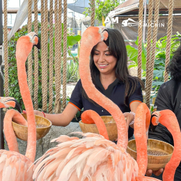 Acuario Michin Puebla - Puebla