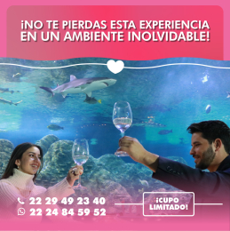 Acuario Michin Puebla - Puebla